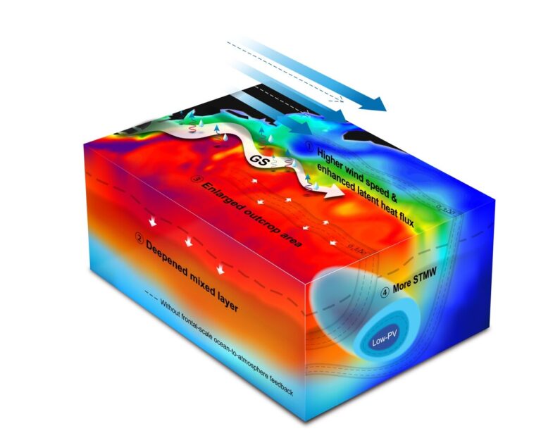 Researchers discover Gulf Stream thermal fronts controlling North Atlantic subtropical mode water formation