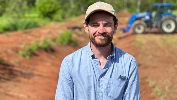 How a new mini-wetland is creating a natural filter for a P.E.I. farm field