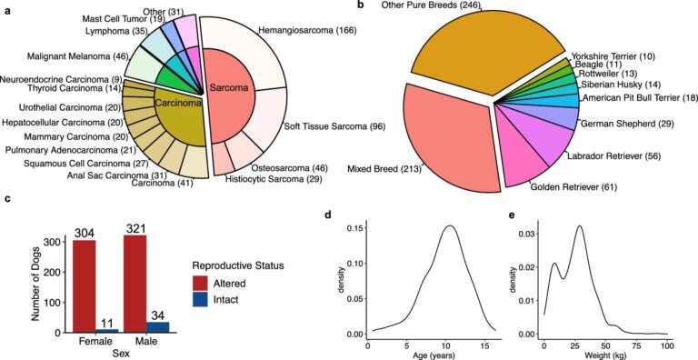 Largest-ever genomic sequencing study of canine cancers reveals striking similarities to human cancers