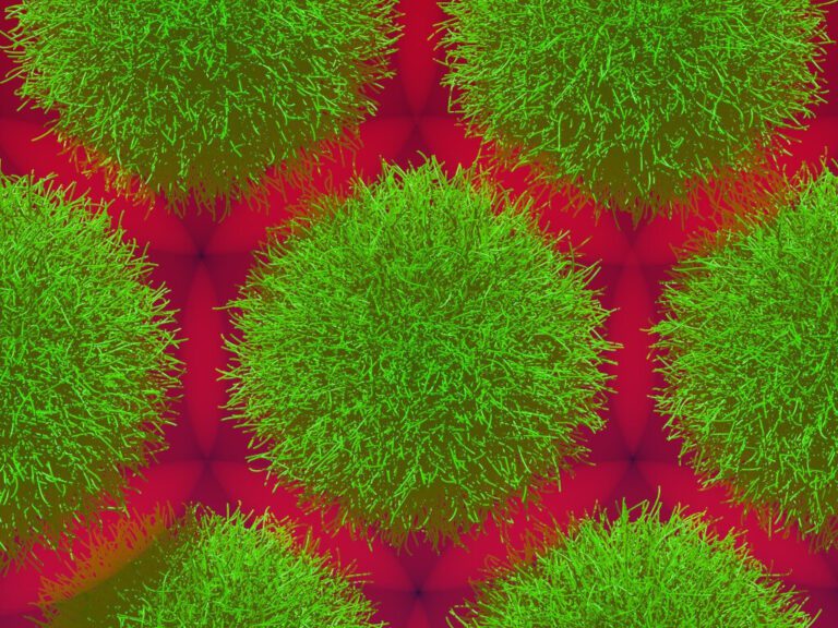 Neutron beam measurements reveal shrinking mechanism of microgels in colloids