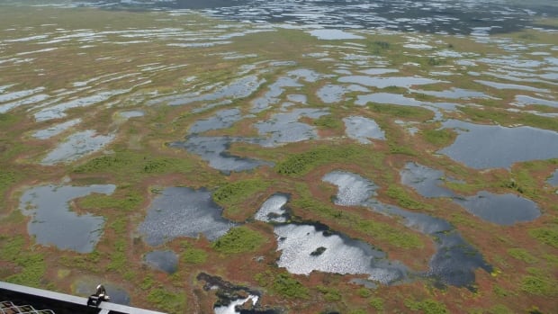 Peatlands are a massive carbon sink, but they are burning more often due to climate change