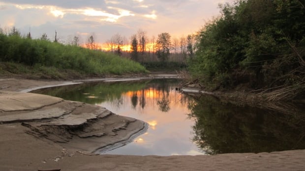 UNESCO report on Wood Buffalo National Park shows urgent need to fix problems, First Nation says