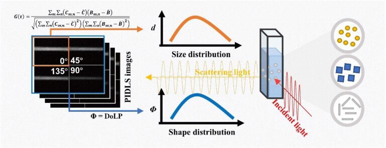 Polarized imaging of dynamic light scattering to measure nanoparticle size, morphology, and distributions