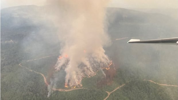 Evacuation orders, alerts issued for properties south of Smithers, B.C., due to wildfire