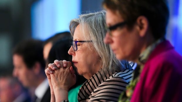 Green Party Leader Elizabeth May hospitalized for ‘overwork, fatigue and stress,’ husband says