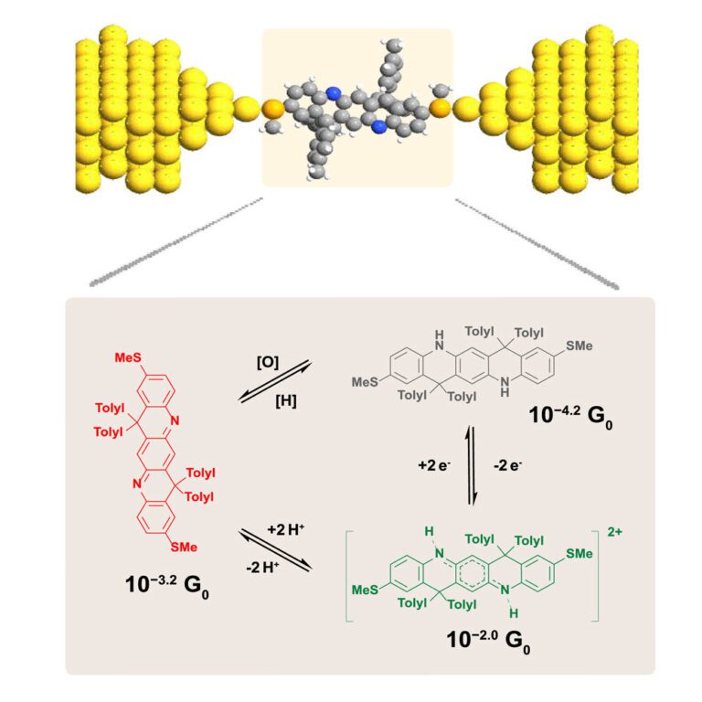 Researchers demonstrate single-molecule electronic ‘switch’ using ladder-like molecules