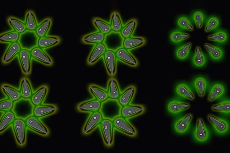 Researchers grow precise arrays of nanoscale LEDs