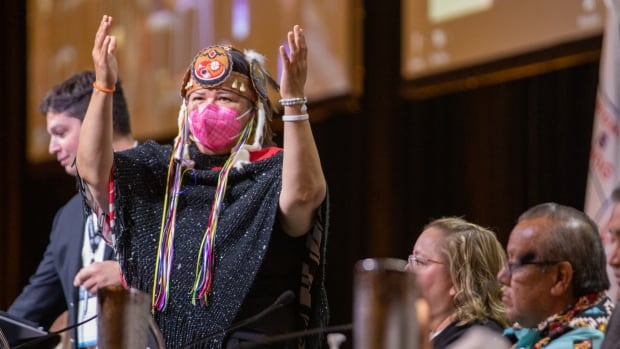 RoseAnne Archibald, ousted AFN national chief, urges supporters to demand her reinstatement