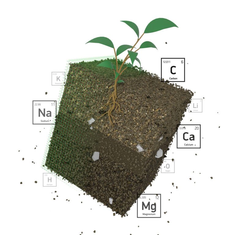 Scientists speed elemental investigations of plant growth, soil carbon storage