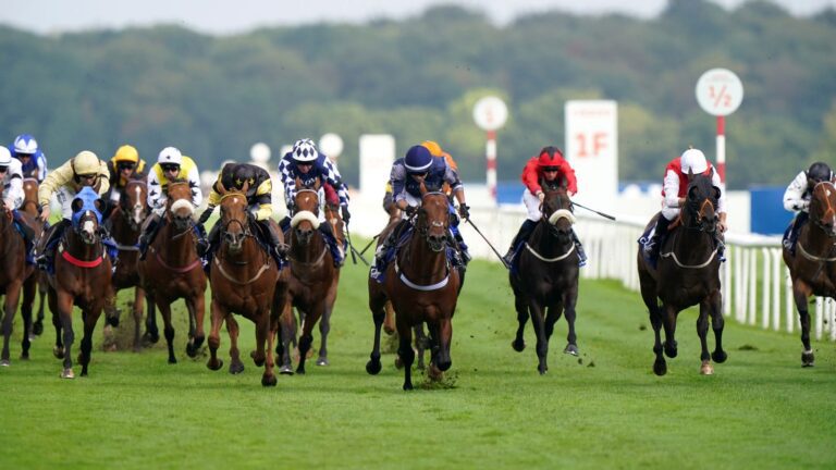 Today on Sky Sports Racing: Doncaster sprint stars in focus plus busy jumps card at Newton Abbot on Friday | Racing News