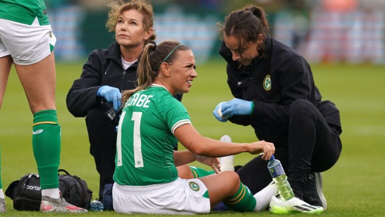 McCabe in World Cup injury scare as Republic of Ireland lose to France