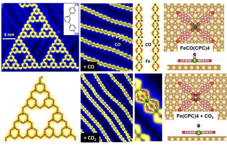 Scientists determine gas molecules induce transition from Sierpiński triangles to one-dimensional chains