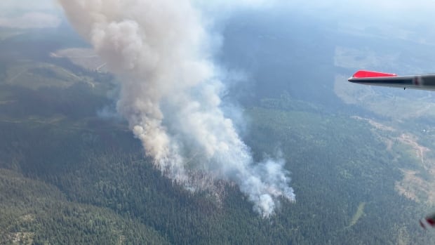 Evacuation orders issued for 2 regions in northern B.C. as hundreds of wildfires burn