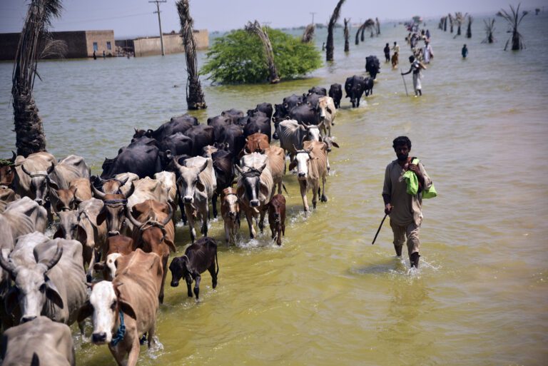 Warming causes more extreme rain, not snow, over mountains and scientists say that’s a problem