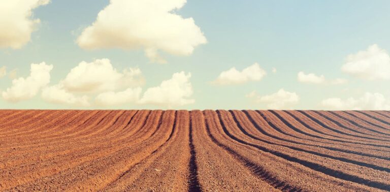 Why there are fewer insects on UK farms than there were a century ago—and how to restore them