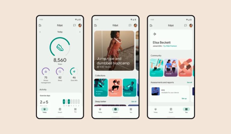 Google gives the Fitbit app a Material You makeover