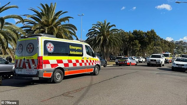 The young boy was watching his older brother play a game of rugby at a nearby park when he wandered off and made his way onto the road, before he was hit by a Jeep Cheroke that was making it's way along the street