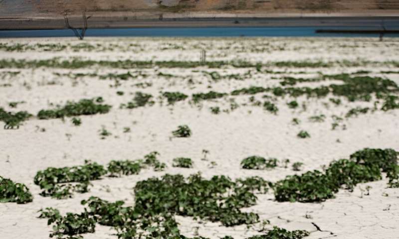 The Mediano reservoir in Huesca province has been severely hit by drought