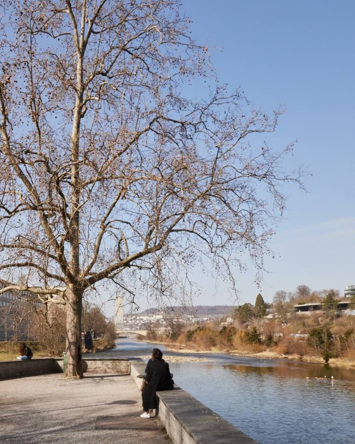 A bare tree at the tip of the Platzspitz park where Zürich’s rivers meet