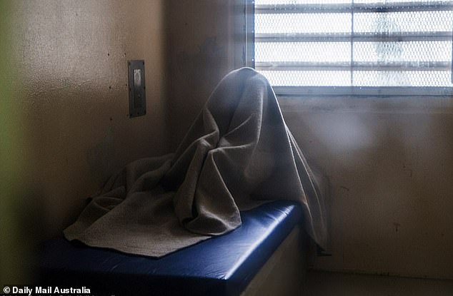 One health worker said use of the toys could help staff manage inmates suffering from acquired brain injuries and dementia. Stock image of an inmate in an observation cell