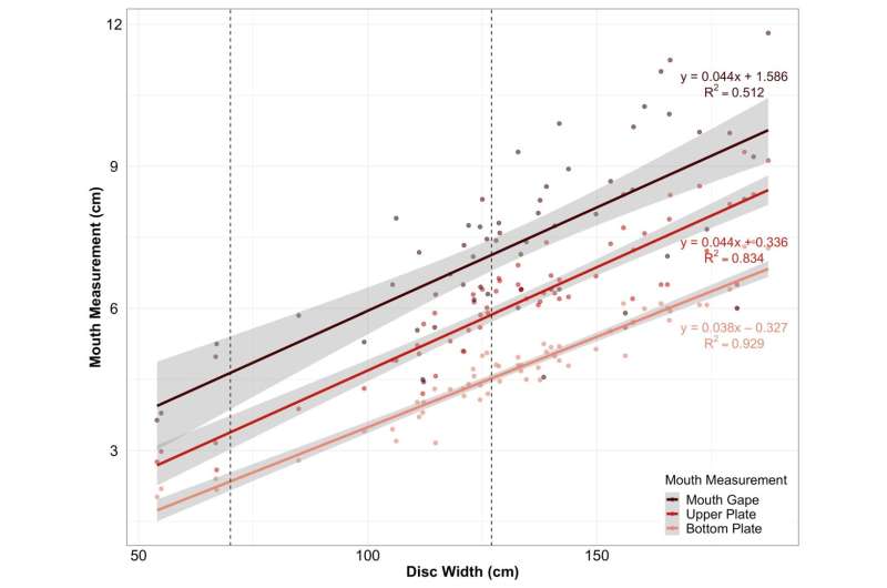 DNA decodes the dining preferences of the shell-shucking whitespotted eagle ray