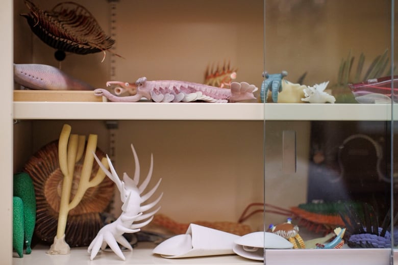 Two shelves of 3D printed models of strange invertebrates