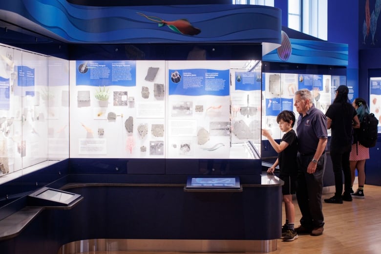 Visitors look at the Dawn of Life exhibit at the ROM