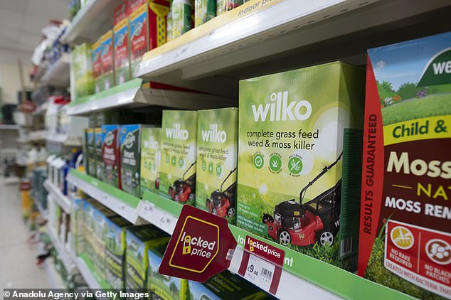 Although there was some speculation that a stock liquidation, which would see Wilko's inventory sold for a huge discount, was the preferred outcome by those looking at bids, administrators insisted that talks with buyers continued