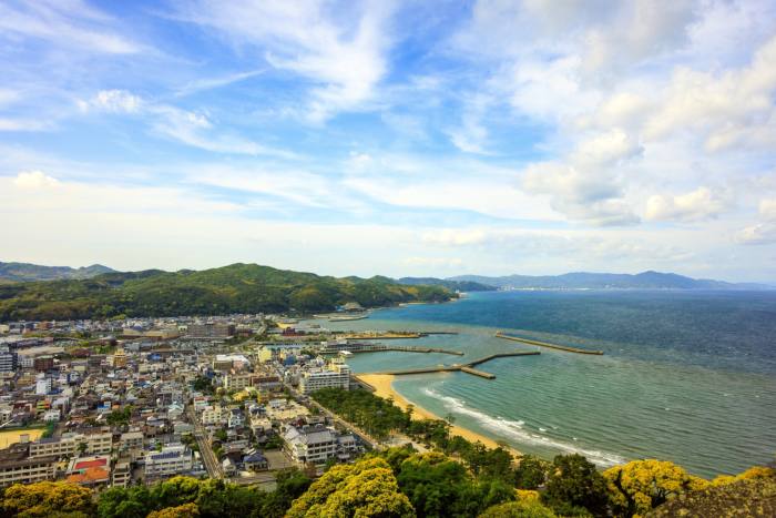 Aerial view of Sumoto town and port with hills behind