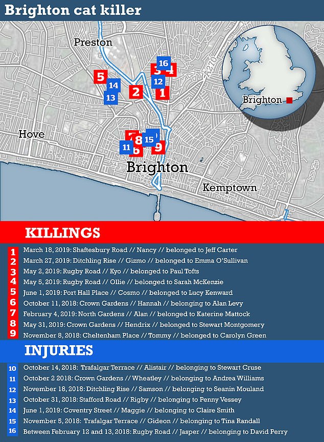 Between October 2018 and June 2019, Bouquet stabbed at least 16 pet cats across the seaside resort, killing nine and seriously injuring seven