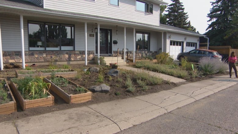 A photo of different plants growing out in the front lawn of a house. 