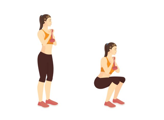 dumbbell goblet squat illustration