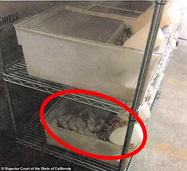 First photos of Chinese-run lab in California experimenting with dangerous viruses and engineering mice