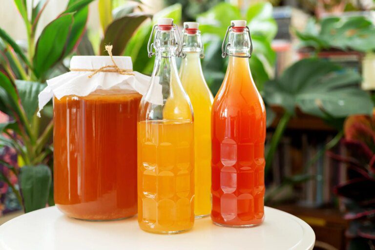 Drinking Kombucha Linked to Reduced Blood Sugar Levels in People With Type 2 Diabetes