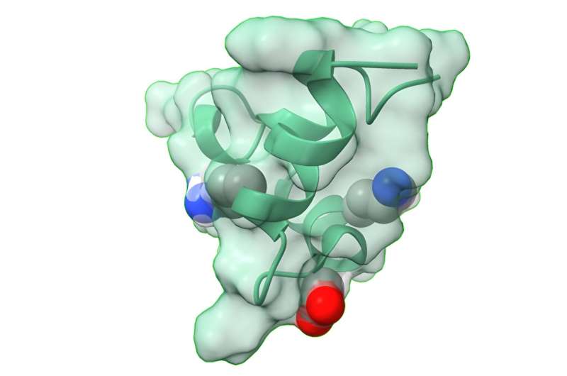 Mapping the coronavirus spike protein could provide insight into vaccine development