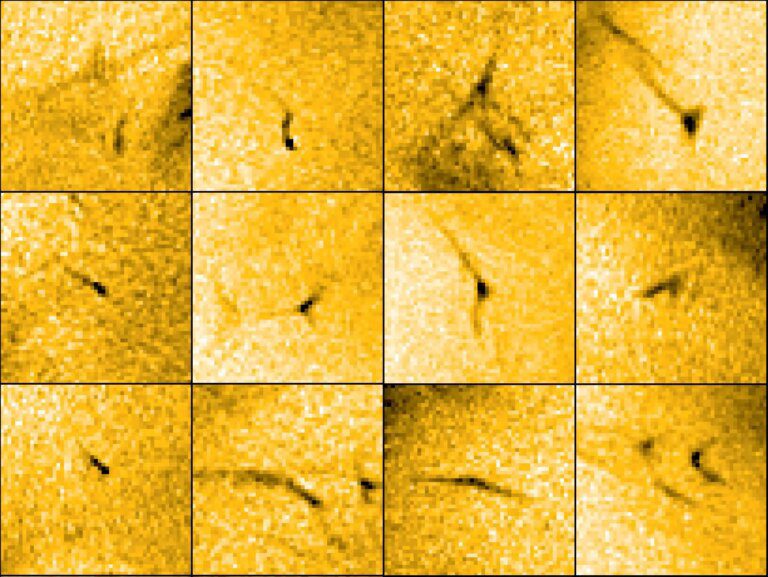 Sun’s Mighty Solar Wind Powered by Tiny “Picoflare Jets” Within Coronal Holes