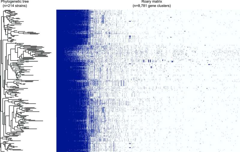 Large proportion of Michigan's C. jejuni infections are caused by antibiotic resistant strains