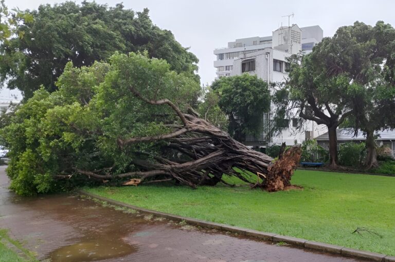 Typhoon knocks out power in southern Japan