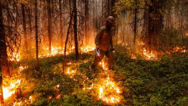 As unprecedented fire year rages on, experts warn of longer, more destructive seasons