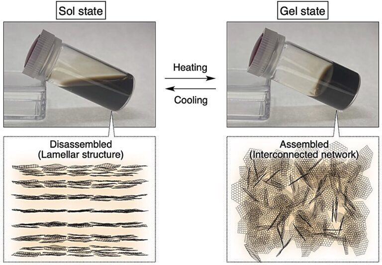 ‘Countercation engineering’ for thermoresponsive graphene-oxide nanosheets