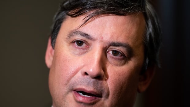 U.S. politicians want to hear from MP Michael Chong on threats from China