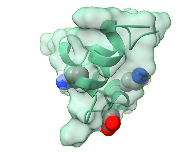 Mapping the SARS-CoV-2 spike protein could provide insight into vaccine development