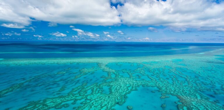 Out of danger because the UN said so? Hardly. The Barrier Reef is still in hot water