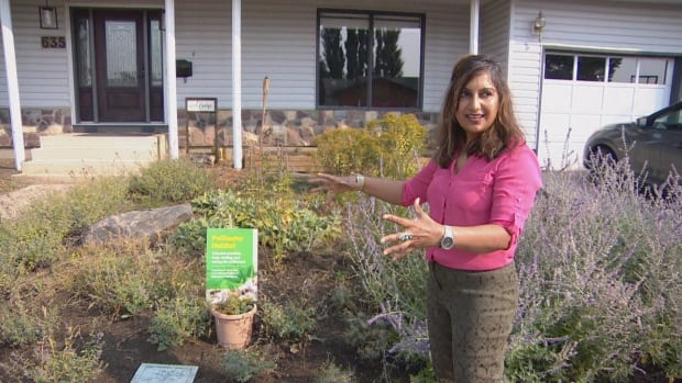 Sask. woman who got cited for tall plants in pollinator garden says bylaw should change