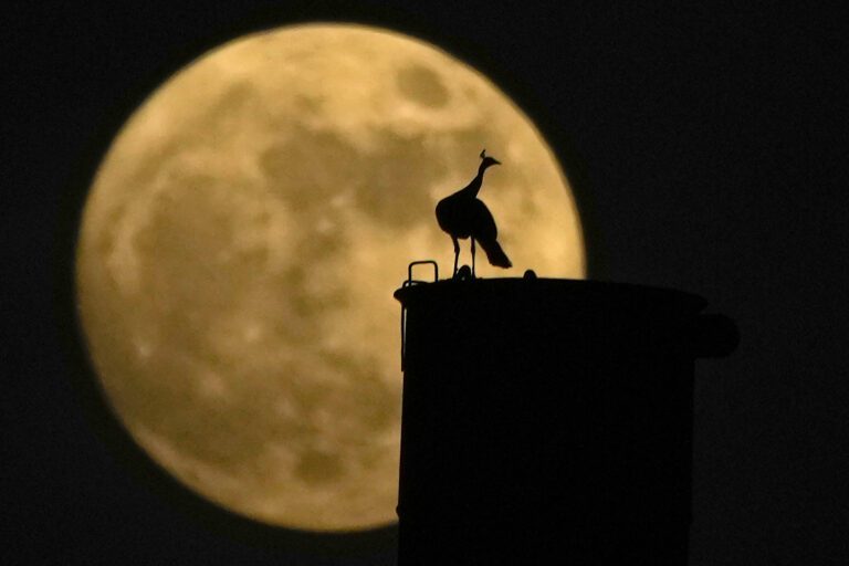 Rare blue supermoon dazzles stargazers around the globe