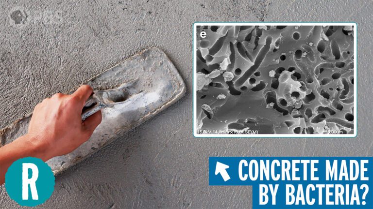 Video: The rise of bio-concrete