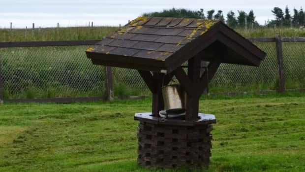 High levels of arsenic detected in 112 wells across N.L. — and hundreds more could be at risk