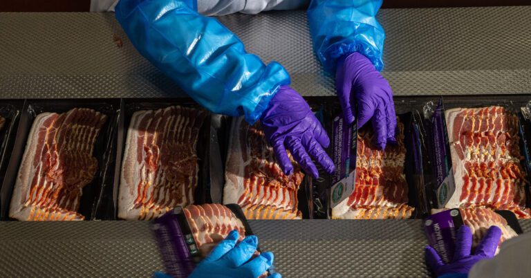 Pork Industry Grapples With Whiplash of Shifting Regulations