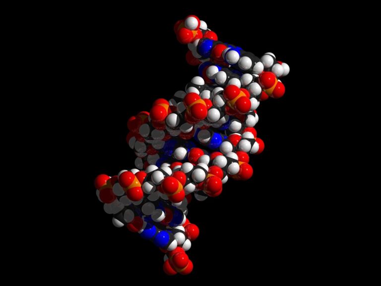 Linguistics may help us to understand some ‘strangeness’ of the genetic code