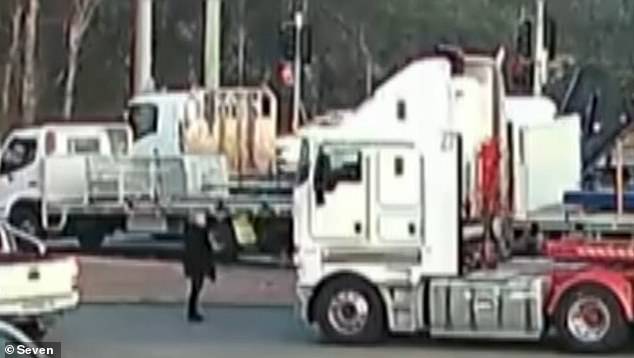 Leonia Picone, 55, is pictured standing in front of a truck, moments before she was hit and killed